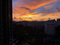 Blk 311A Trivelis (Clementi), HDB 4 Rooms #548564361